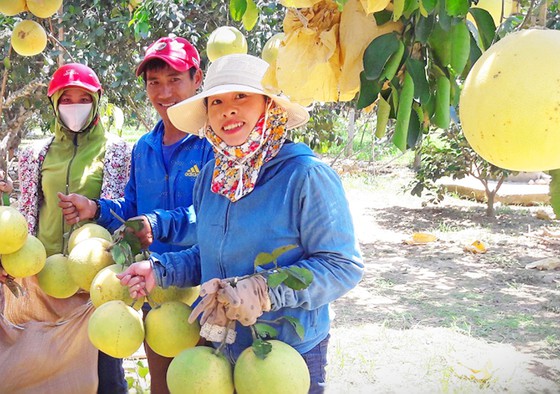 Unique OCOP products in central region